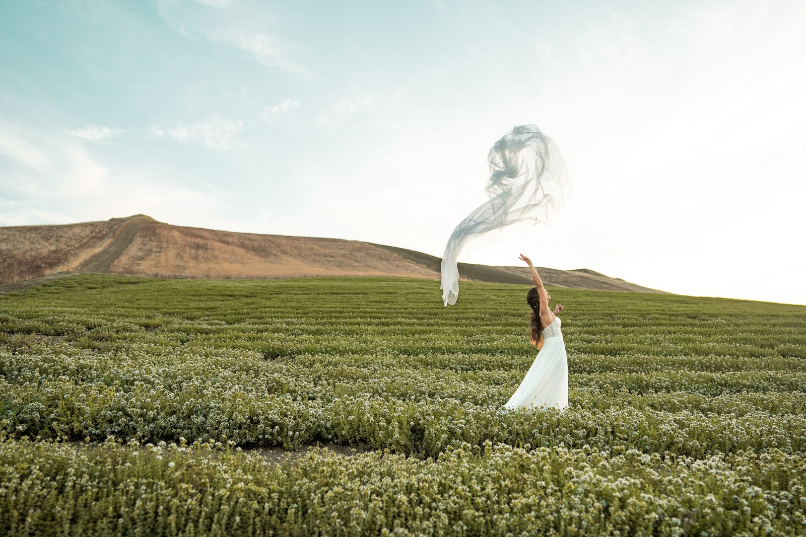 Eliezer & Leandra - Galleria 51