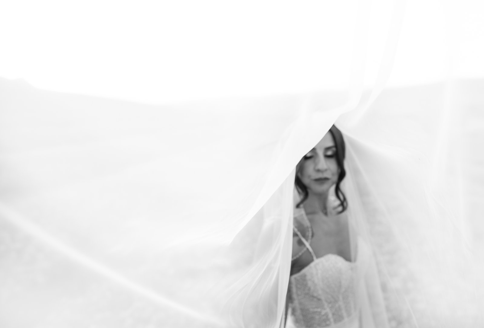 Eliezer & Leandra - Galleria 52